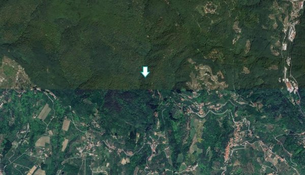 terreno agricolo in vendita a Capannori