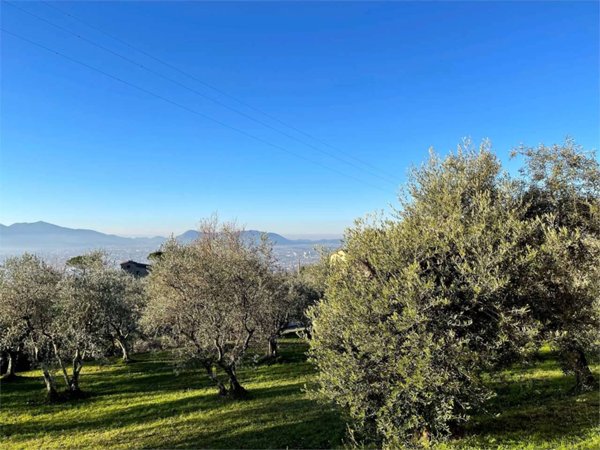 casa indipendente in vendita a Capannori in zona San Gennaro