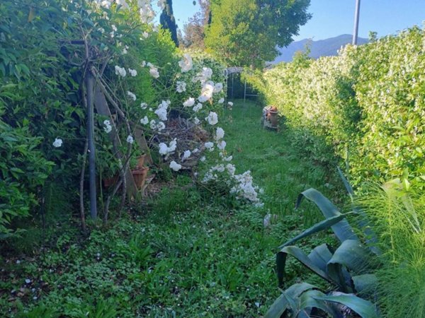 casa indipendente in vendita a Capannori in zona Santa Margherita