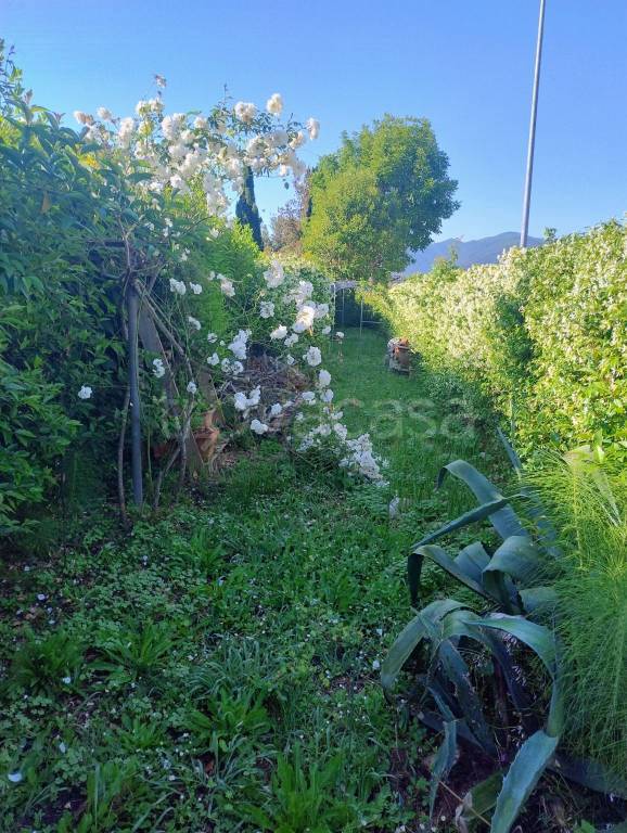 casa indipendente in vendita a Capannori in zona Santa Margherita