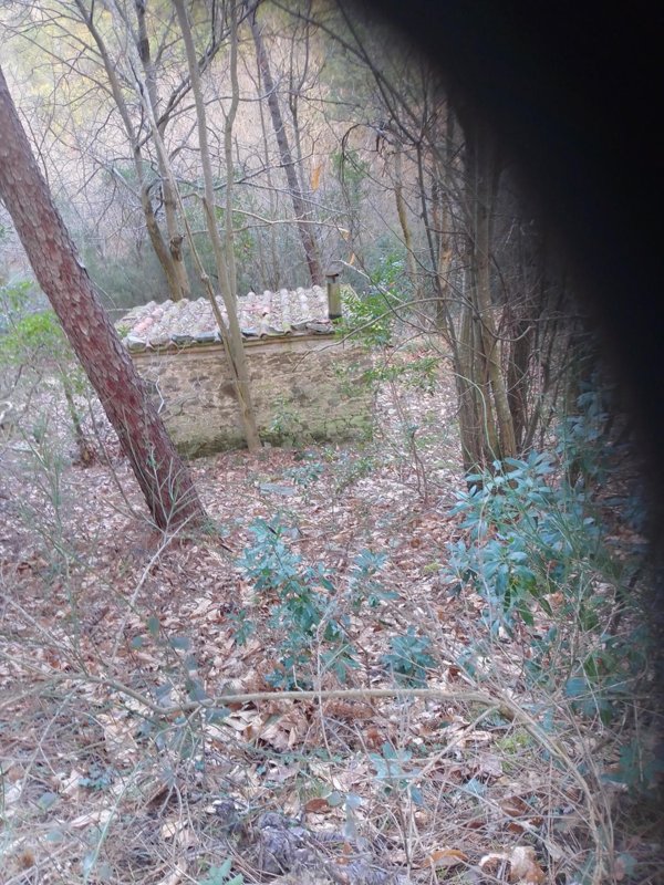 terreno agricolo in vendita a Capannori in zona Vorno