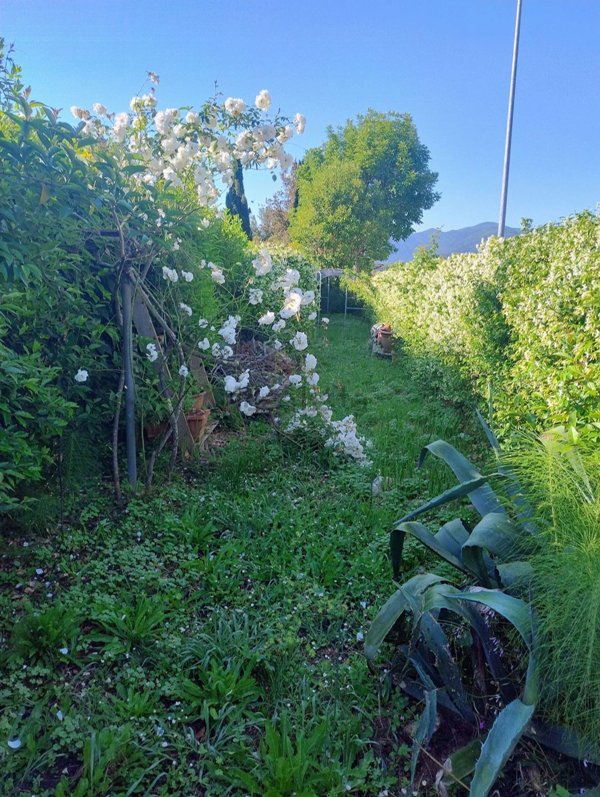 casa indipendente in vendita a Capannori in zona Santa Margherita