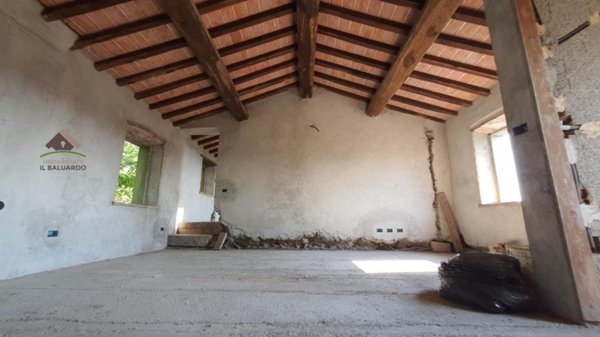 immagine annuncio 0 di 15