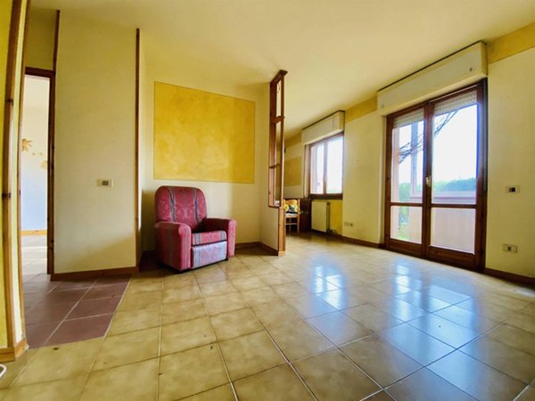 immagine annuncio 0 di 15