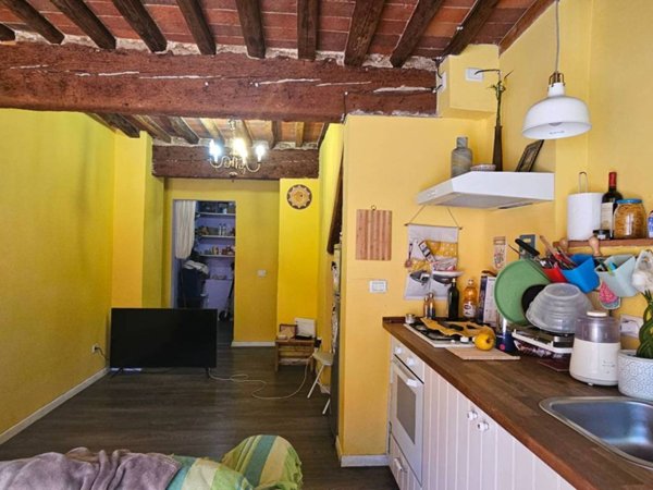 casa indipendente in vendita a Capannori in zona Carraia