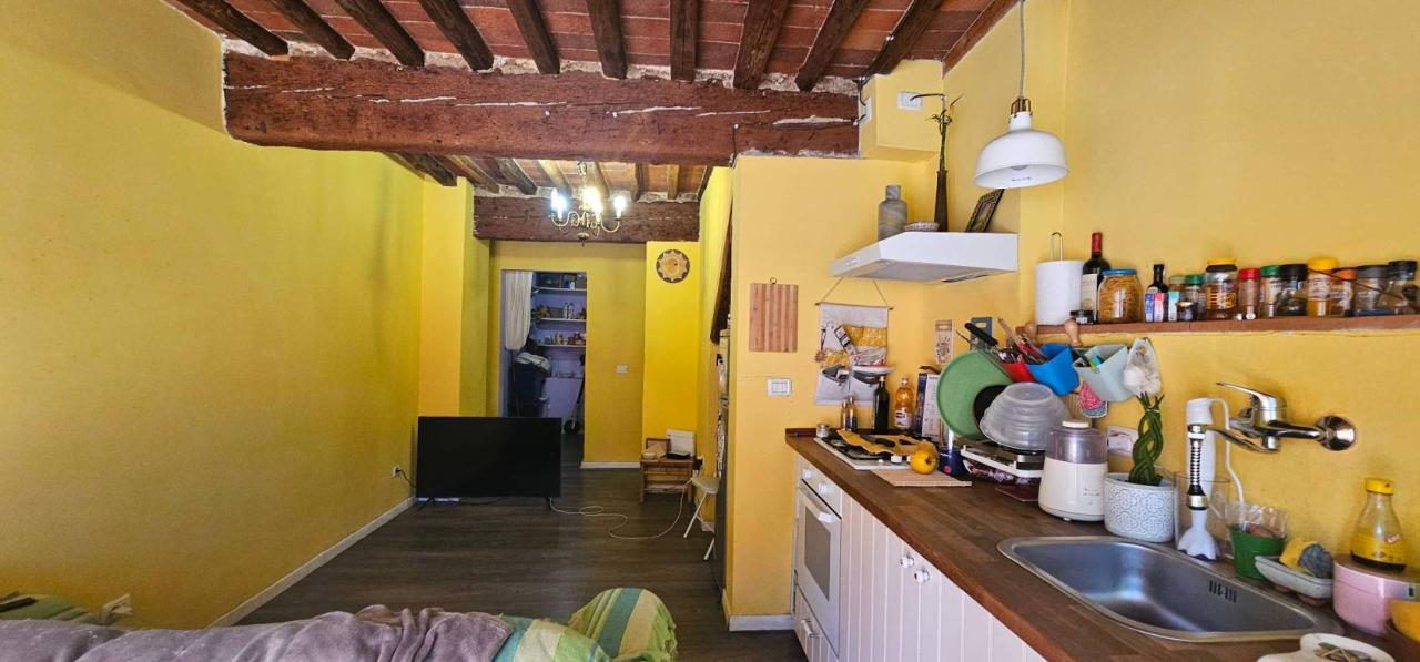 casa indipendente in vendita a Capannori in zona Carraia