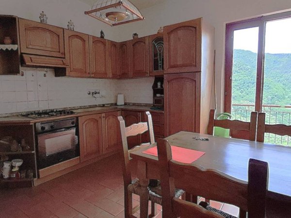 casa indipendente in vendita a Capannori in zona San Gennaro