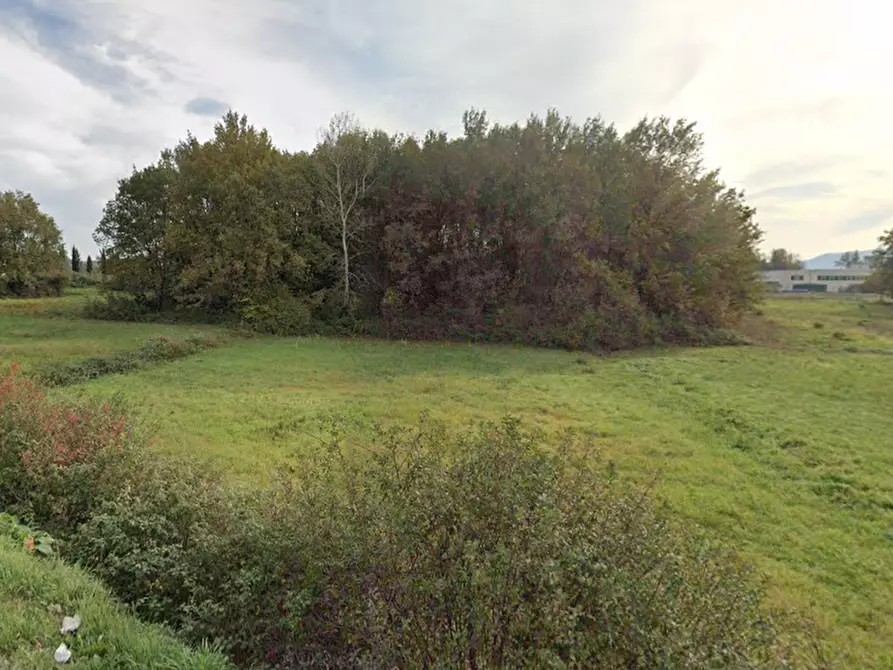 terreno agricolo in vendita a Capannori