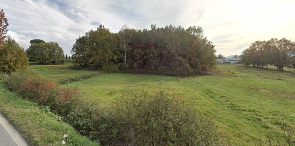 terreno agricolo in vendita a Capannori