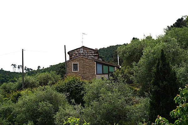 immagine annuncio 0 di 15