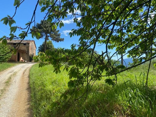 casa indipendente in vendita a Capannori in zona San Gennaro
