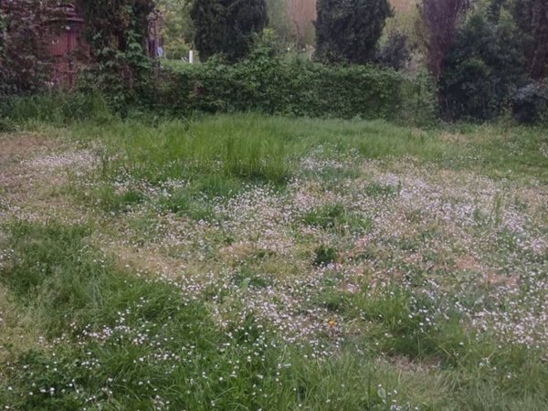 casa indipendente in vendita a Capannori