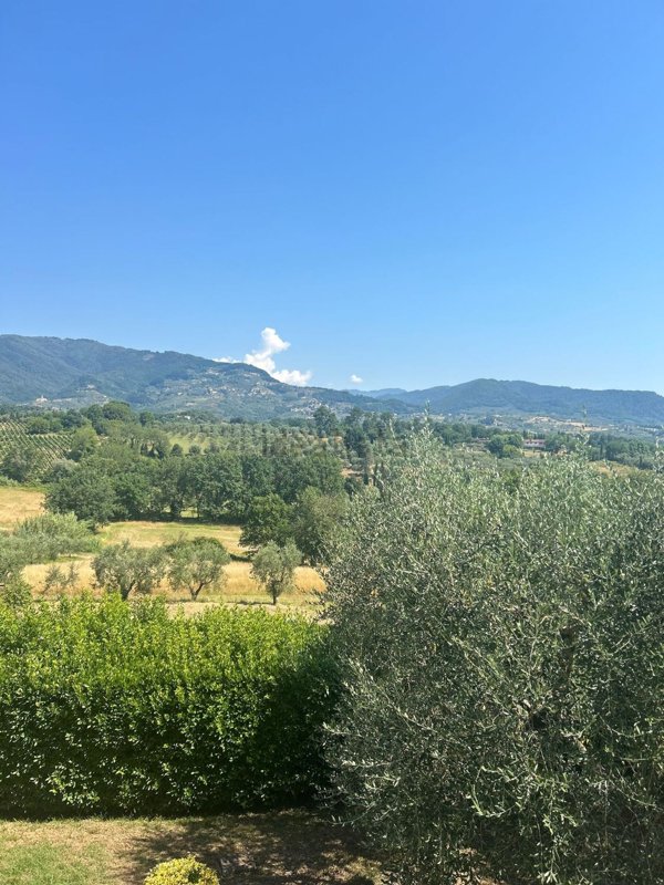 casa indipendente in vendita a Capannori