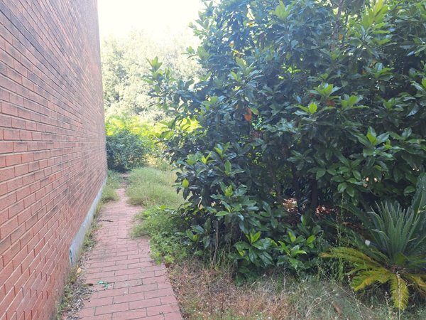 casa indipendente in vendita a Capannori in zona Guamo