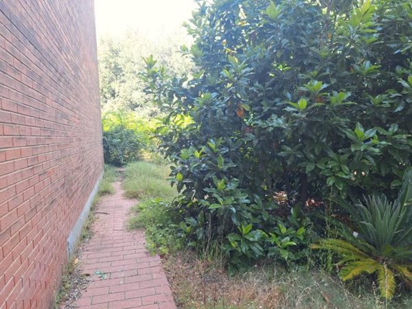 casa indipendente in vendita a Capannori in zona Guamo
