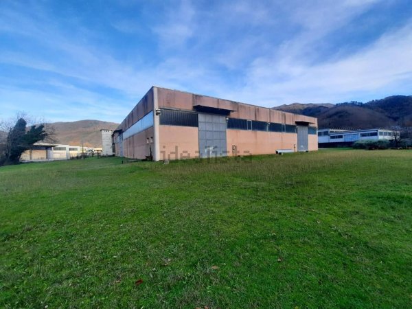 capannone in vendita a Capannori