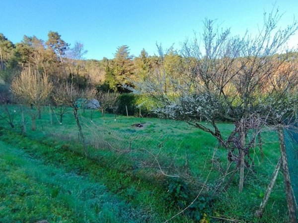 casa indipendente in vendita a Capannori in zona Guamo