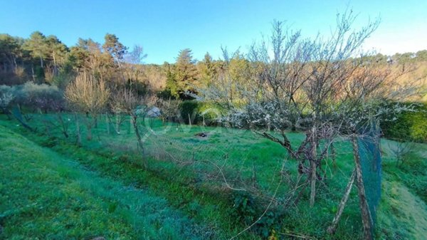 casa indipendente in vendita a Capannori in zona Guamo