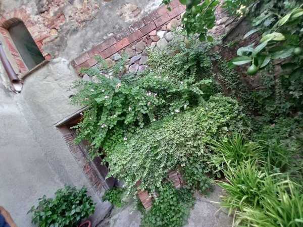 casa indipendente in vendita a Capannori