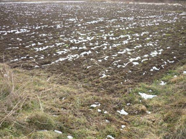 terreno agricolo in vendita a Capannori