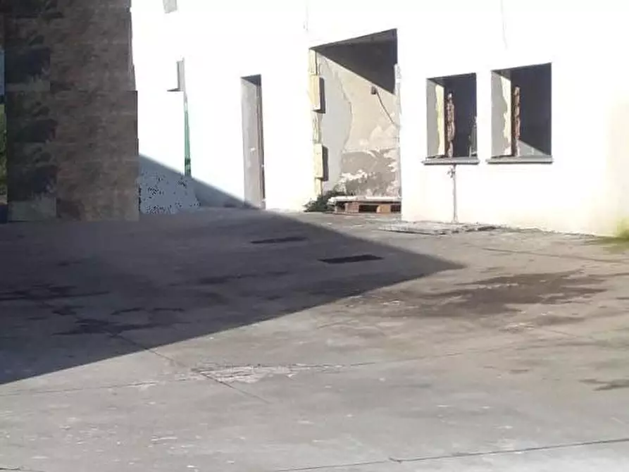 immagine annuncio 0 di 1