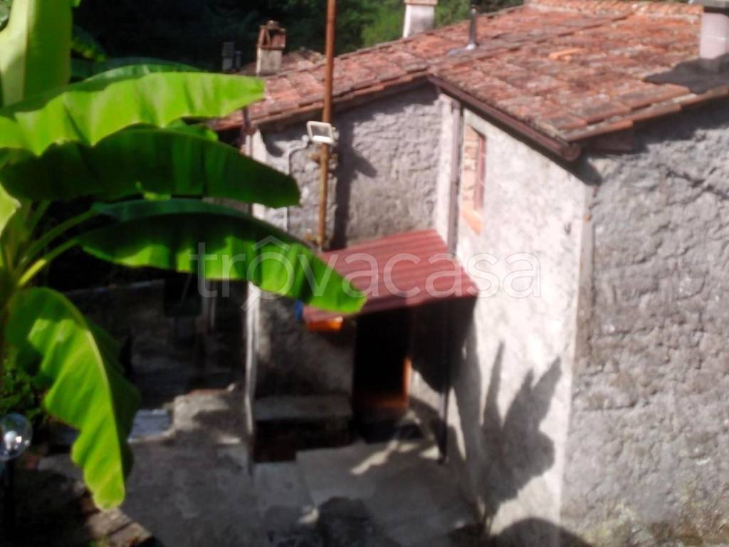 casa indipendente in vendita a Capannori
