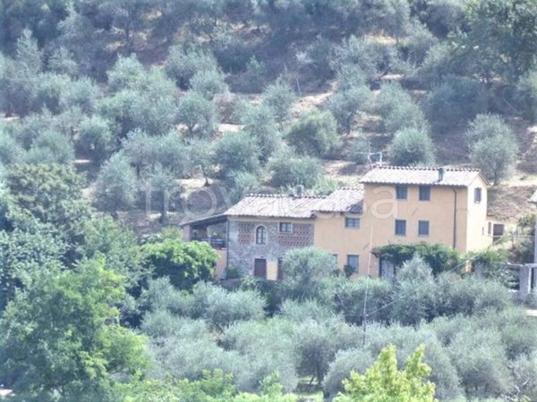casa indipendente in vendita a Capannori in zona Vorno