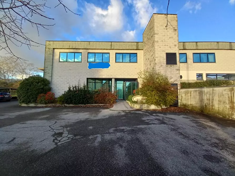 capannone in vendita a Capannori