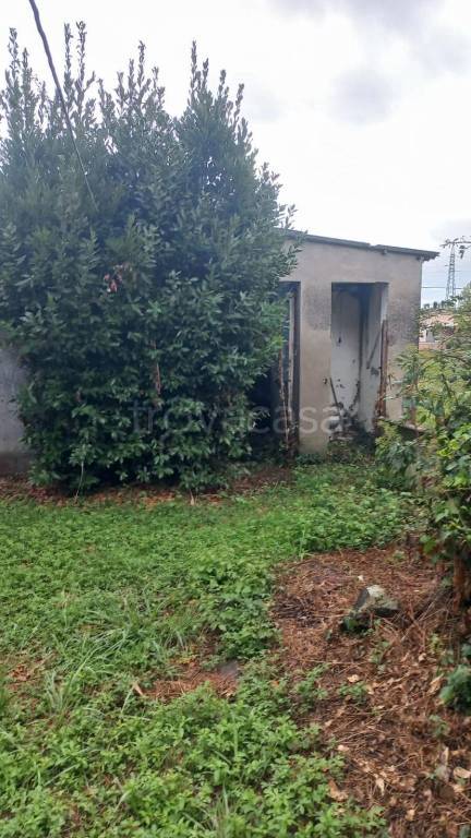 casa indipendente in vendita a Capannori