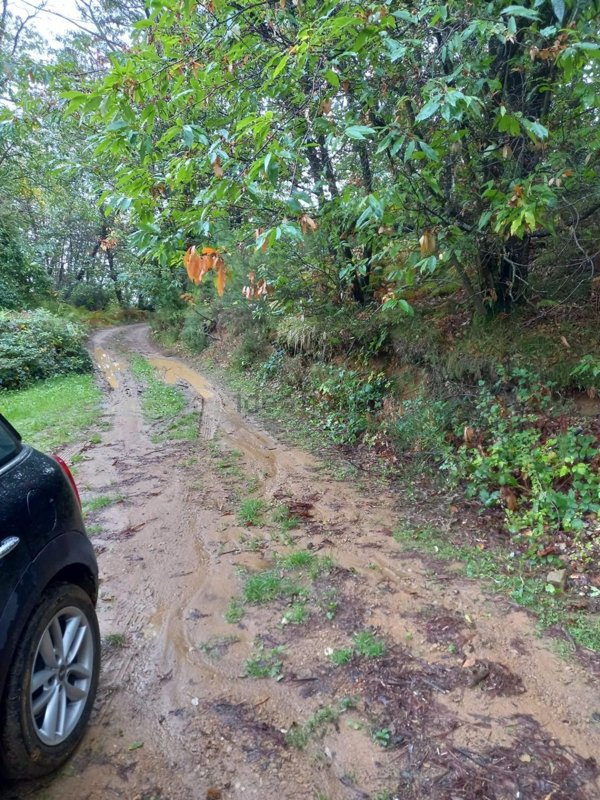 pentavano in vendita a Capannori