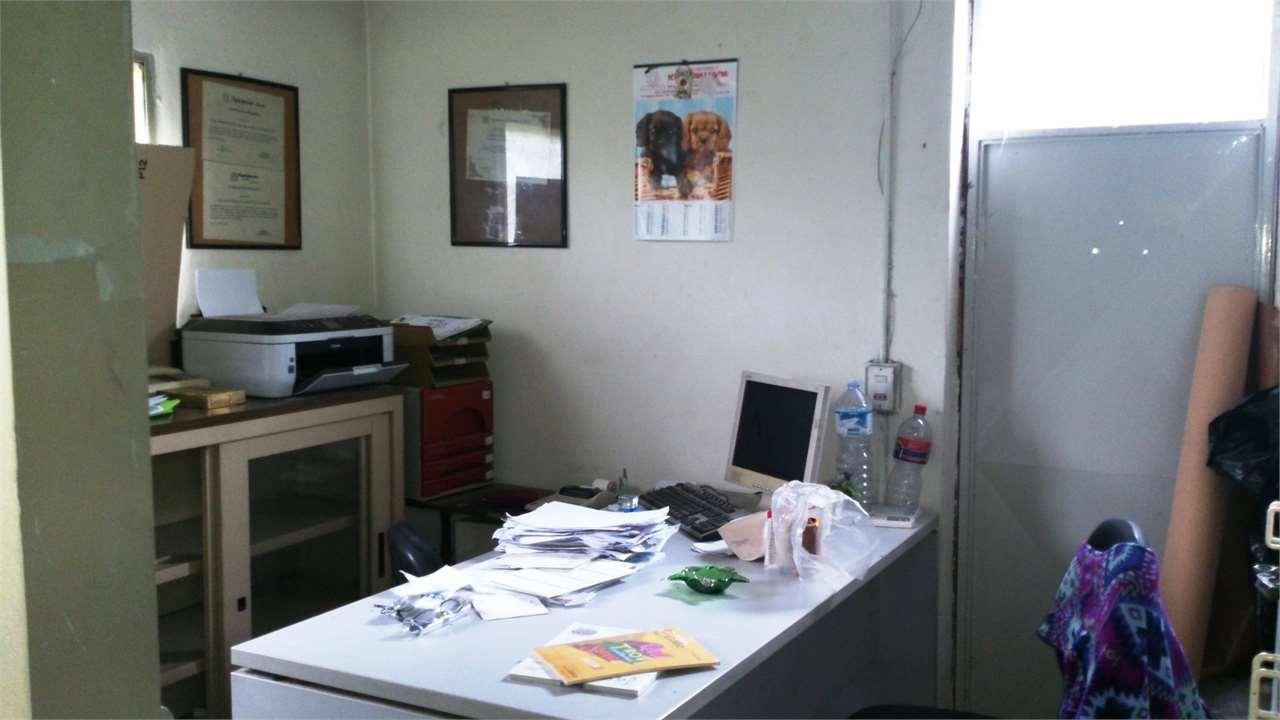 appartamento in vendita a Capannori