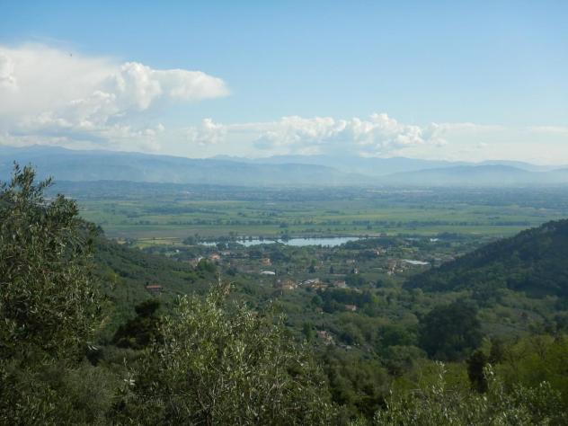 esavano in vendita a Capannori