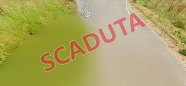 pentavano in vendita a Capannori