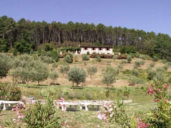 casa indipendente in vendita a Capannori