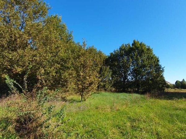 terreno agricolo in vendita a Capannori