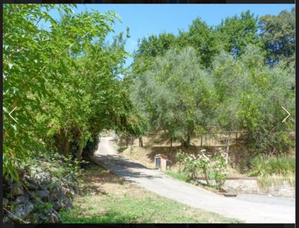 casa indipendente in vendita a Capannori in zona San Gennaro