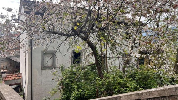casa indipendente in vendita a Capannori