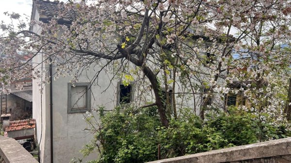 casa indipendente in vendita a Capannori