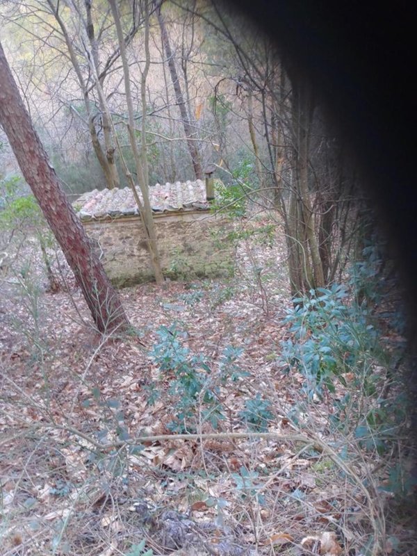 terreno agricolo in vendita a Capannori