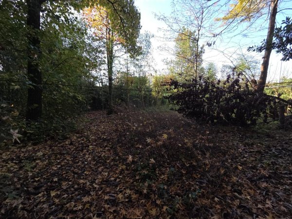 terreno edificabile in vendita a Capannori in zona Segromigno in Monte