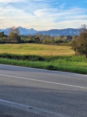 terreno agricolo in vendita a Capannori