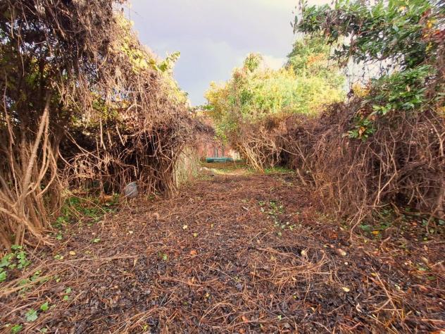 casa indipendente in vendita a Capannori in zona Santa Margherita