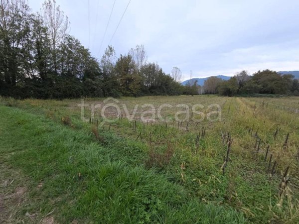 terreno agricolo in vendita a Capannori