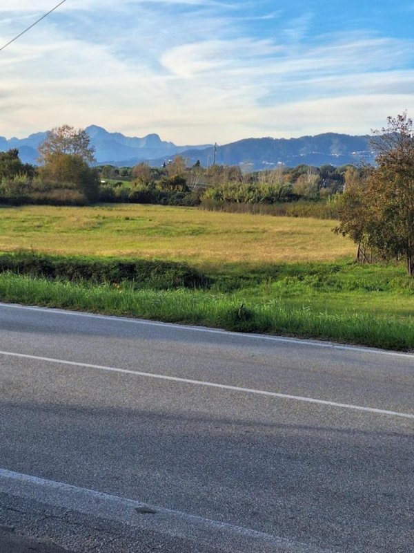 terreno agricolo in vendita a Capannori