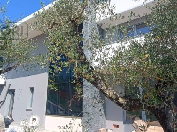 casa indipendente in vendita a Capannori in zona San Gennaro