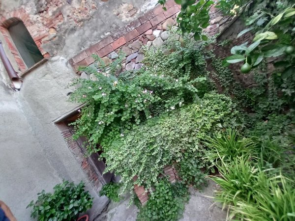 quadrivano in vendita a Capannori