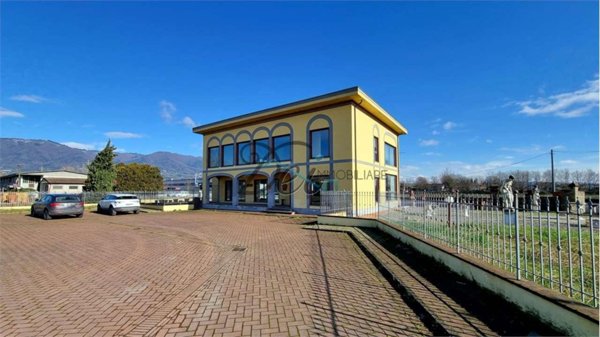 pentavano in vendita a Capannori