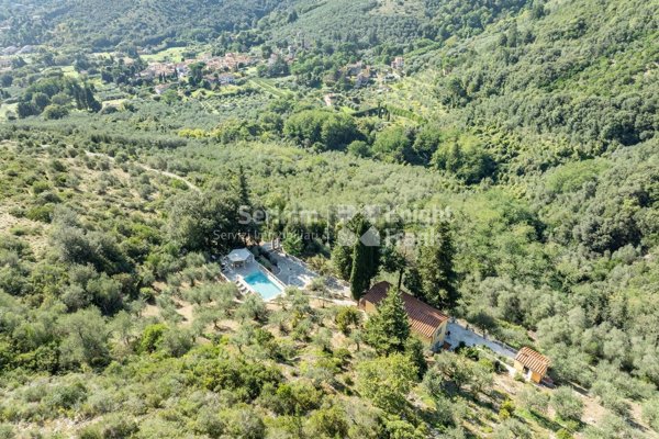 quadrivano in vendita a Capannori