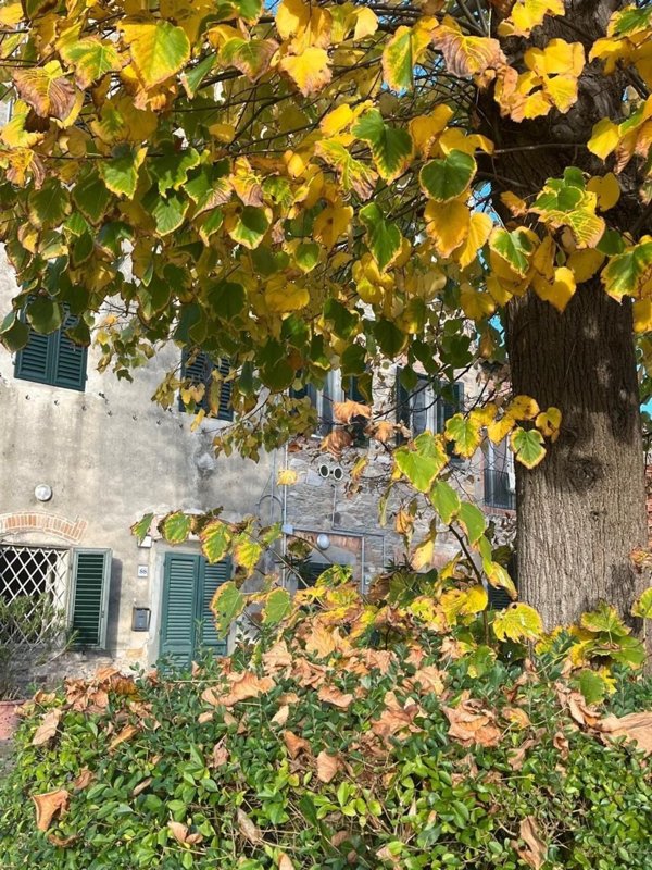 casa semindipendente in vendita a Capannori