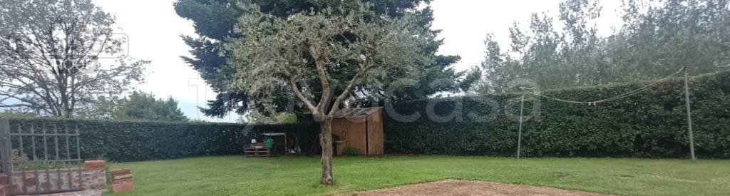 casa indipendente in vendita a Capannori in zona Segromigno in Monte